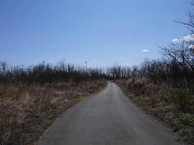 荒川大麻生公園の写真3