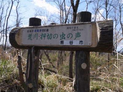 荒川大麻生公園の写真4