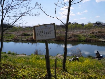 荒川大麻生公園の写真5