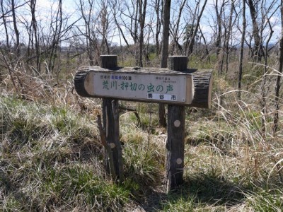 荒川・押切の虫の声の写真