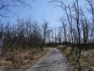 荒川・押切の虫の声の写真2