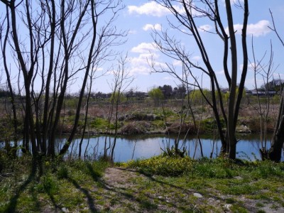 荒川・押切の虫の声の写真5