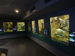 さいたま水族館の写真のサムネイル写真3