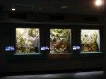 さいたま水族館の写真のサムネイル写真15