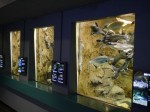 さいたま水族館の写真のサムネイル写真17