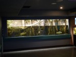 さいたま水族館の写真のサムネイル写真18