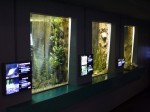 さいたま水族館の写真のサムネイル写真24