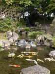 さいたま水族館の写真のサムネイル写真28