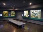 さいたま水族館の写真のサムネイル写真33