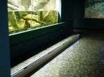 さいたま水族館の写真のサムネイル写真50