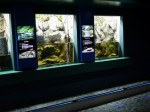 さいたま水族館の写真のサムネイル写真54