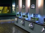 さいたま水族館の写真のサムネイル写真60