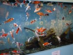 さいたま水族館の写真のサムネイル写真78