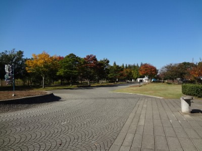 羽生水郷公園の写真