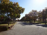 羽生水郷公園の写真のサムネイル写真2