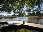 羽生水郷公園の写真のサムネイル写真3