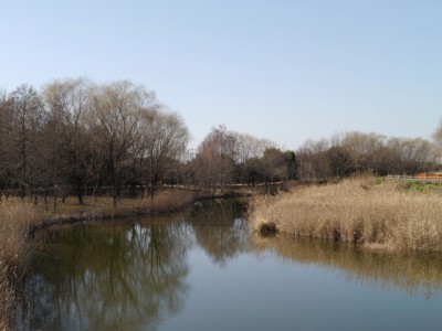 羽生水郷公園の写真のサムネイル写真1
