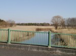 羽生水郷公園の写真のサムネイル写真10