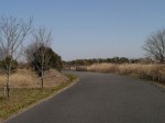 羽生水郷公園の写真のサムネイル写真12