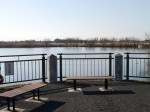 羽生水郷公園の写真のサムネイル写真19