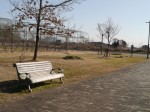 羽生水郷公園の写真のサムネイル写真27