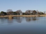 羽生水郷公園の写真のサムネイル写真31