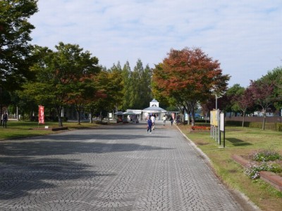 羽生水郷公園の写真10