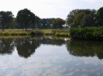 羽生水郷公園の写真のサムネイル写真46
