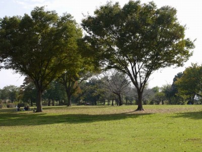 羽生水郷公園の写真24