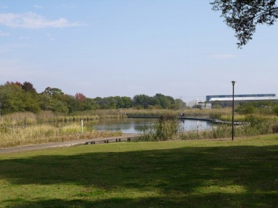 羽生水郷公園の写真25