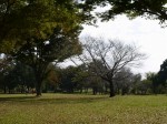 羽生水郷公園の写真のサムネイル写真55