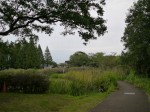 羽生水郷公園の写真のサムネイル写真62