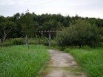 羽生水郷公園の写真のサムネイル写真73