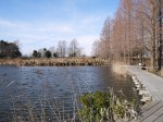 羽生水郷公園の写真のサムネイル写真90