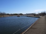 羽生水郷公園の写真のサムネイル写真98