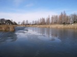 羽生水郷公園の写真のサムネイル写真105