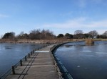 羽生水郷公園の写真のサムネイル写真108