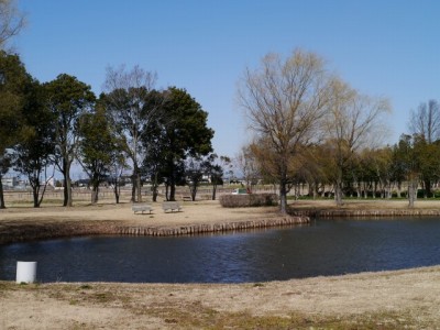 さきたま古墳公園の写真