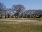 さきたま古墳公園の写真のサムネイル写真2