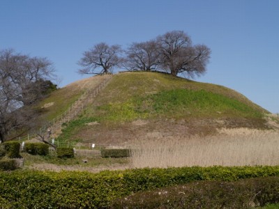 さきたま古墳公園の写真3