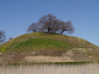 さきたま古墳公園の写真6