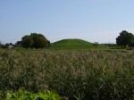 さきたま古墳公園の写真のサムネイル写真16