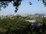 さきたま古墳公園の写真のサムネイル写真19