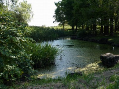 さきたま古墳公園の写真27