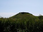 さきたま古墳公園の写真のサムネイル写真29