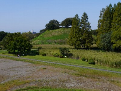 さきたま古墳公園の写真34