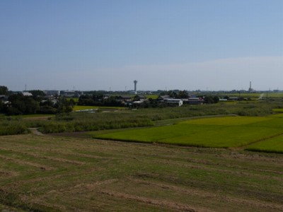 さきたま古墳公園の写真36