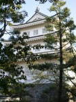行田市郷土博物館（忍城）の写真のサムネイル写真21