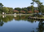 水城公園の写真のサムネイル写真5