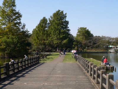 水城公園の写真6